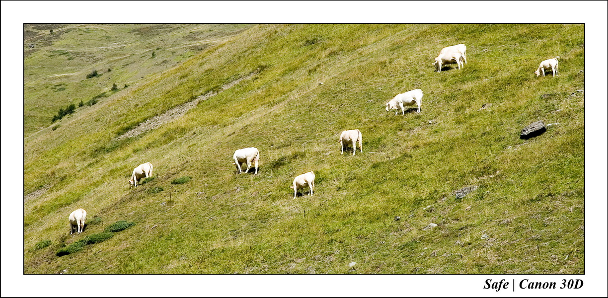 Sept 06 Tarbes - Ballade gaubie 34